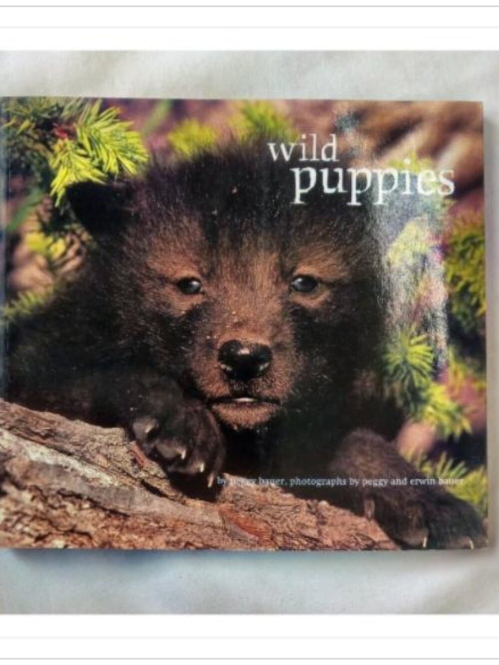 Wild Puppies Childrens Nature Book Wildlife Photography Chronicle 1st 1995 PB